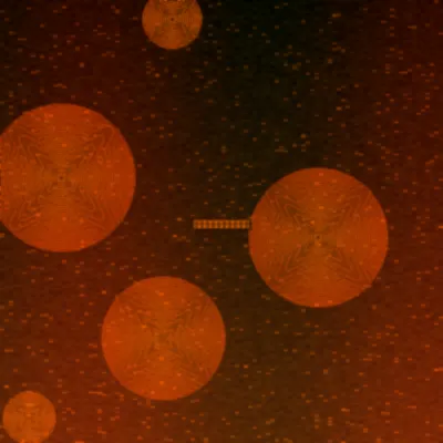 大发彩票极速赛车火焰轮胎图标